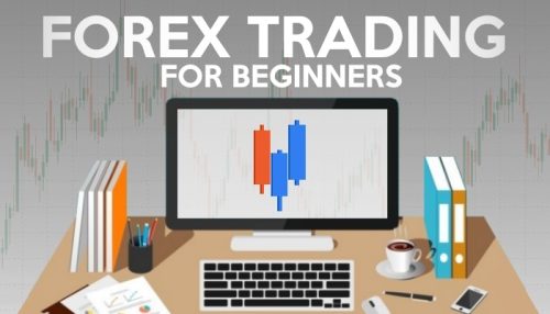 Essential Tips for Forex Trading Beginners